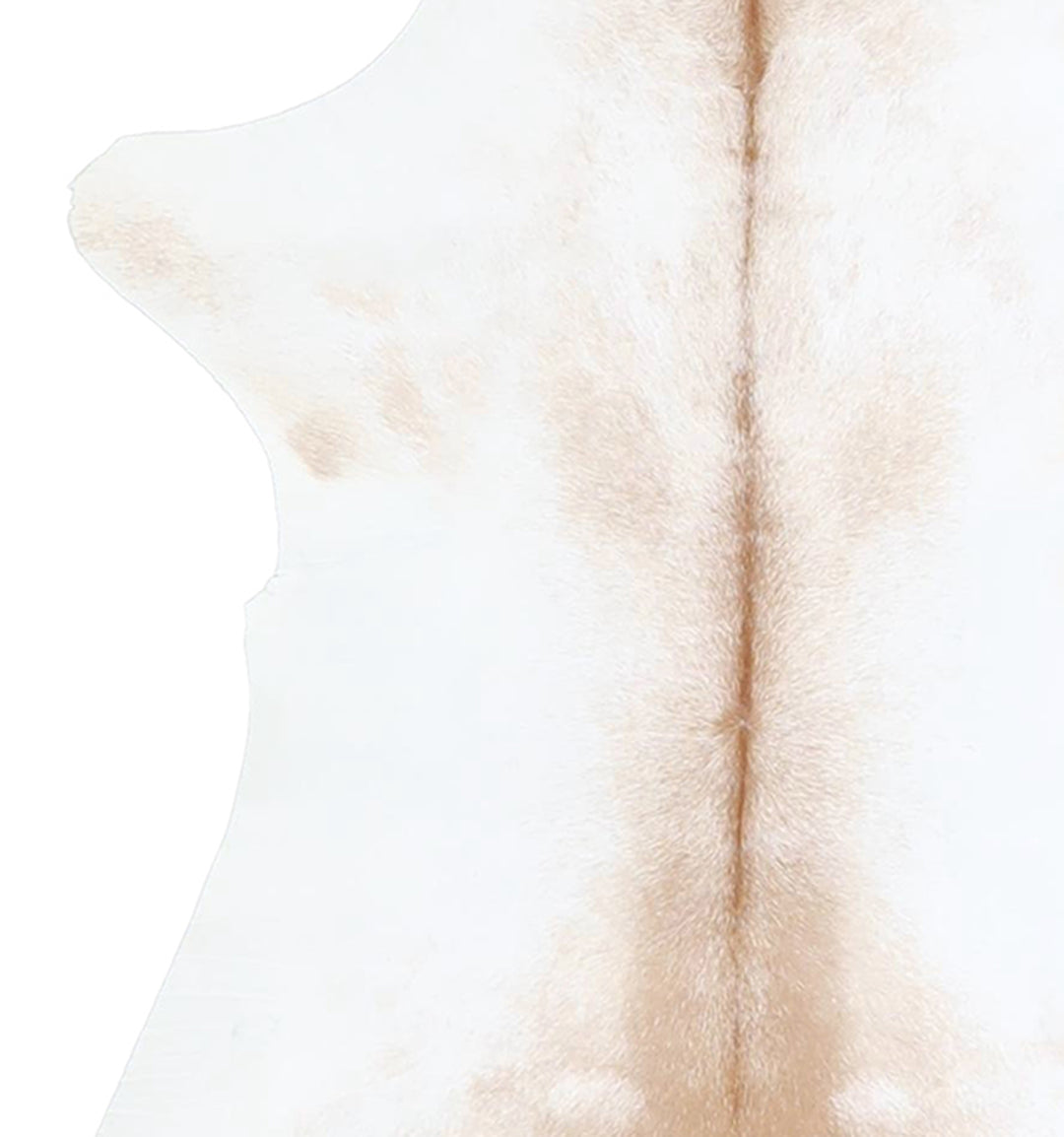 Calfhide Approx 2'x3' #A42497 by Hudson Hides
