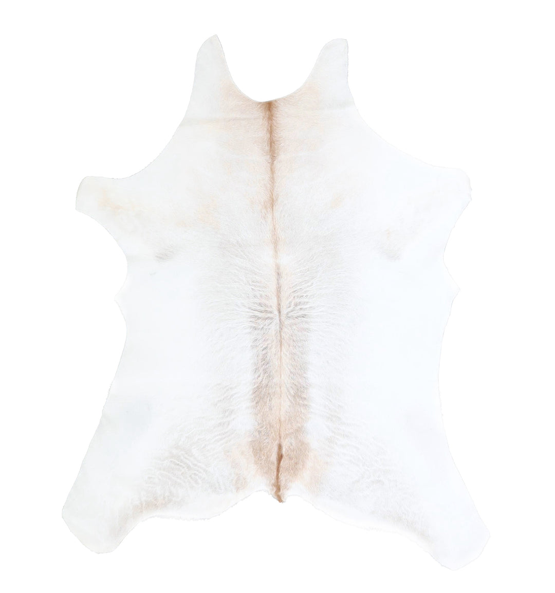 Calfhide Approx 2'x3' #A42498 by Hudson Hides