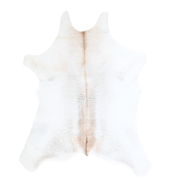 Calfhide Approx 2'x3' #A42498 by Hudson Hides