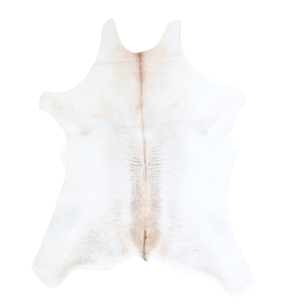 Calfhide Approx 2'x3' #A42498 by Hudson Hides