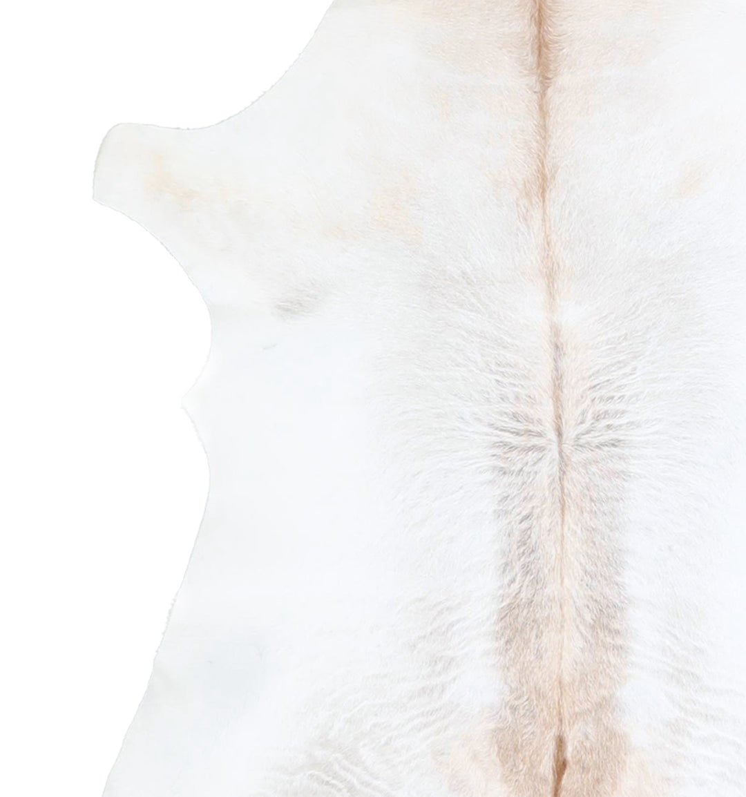 Calfhide Approx 2'x3' #A42498 by Hudson Hides