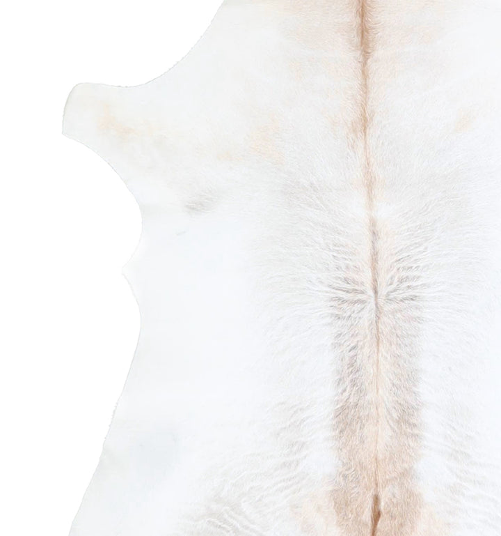 Calfhide Approx 2'x3' #A42498 by Hudson Hides