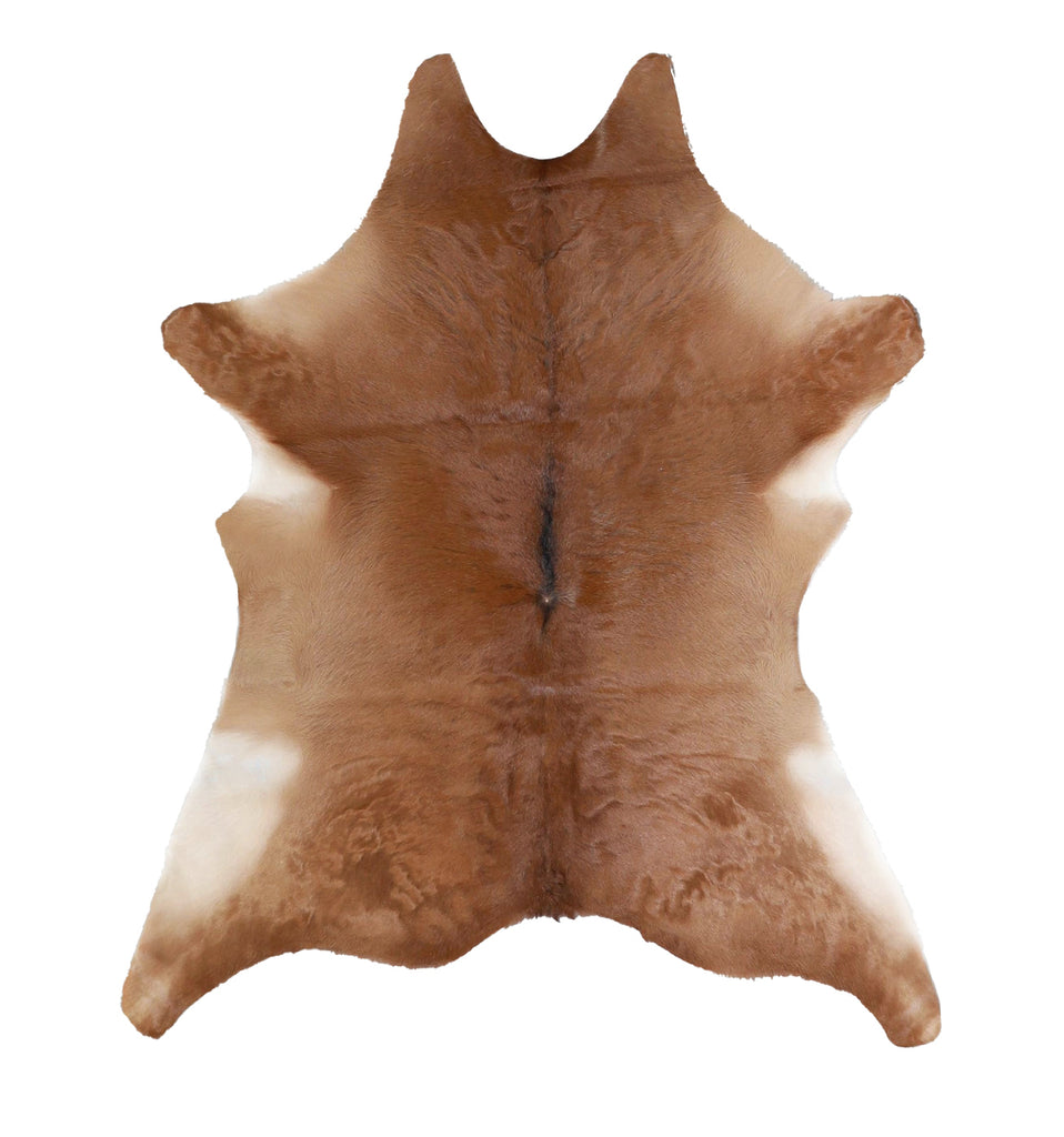 Calfhide Approx 2'x3' #A42499 by Hudson Hides