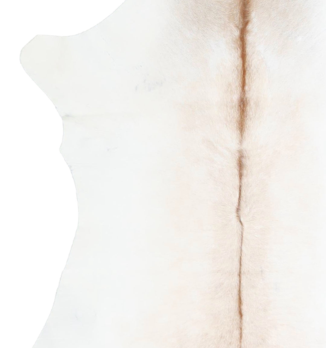 Calfhide Approx 2'x3' #A42500 by Hudson Hides