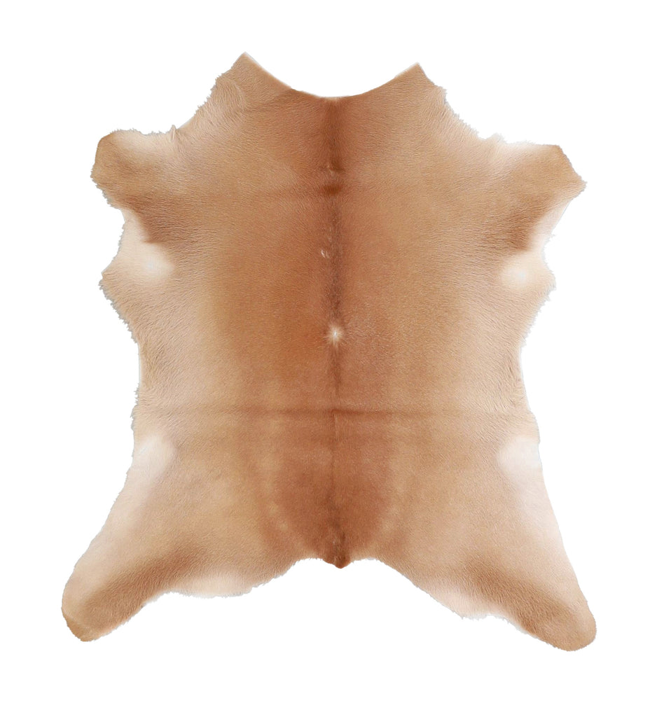 Calfhide Approx 2'x3' #A42502 by Hudson Hides