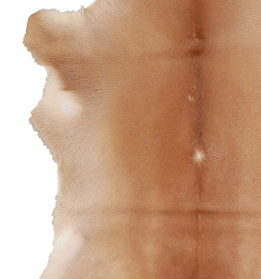 Calfhide Approx 2'x3' #A42502 by Hudson Hides