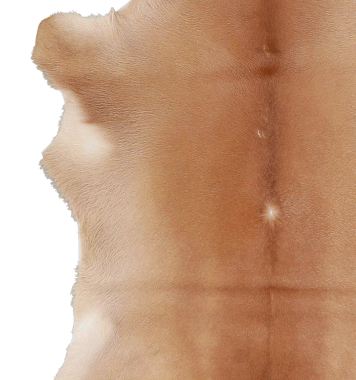 Calfhide Approx 2'x3' #A42502 by Hudson Hides