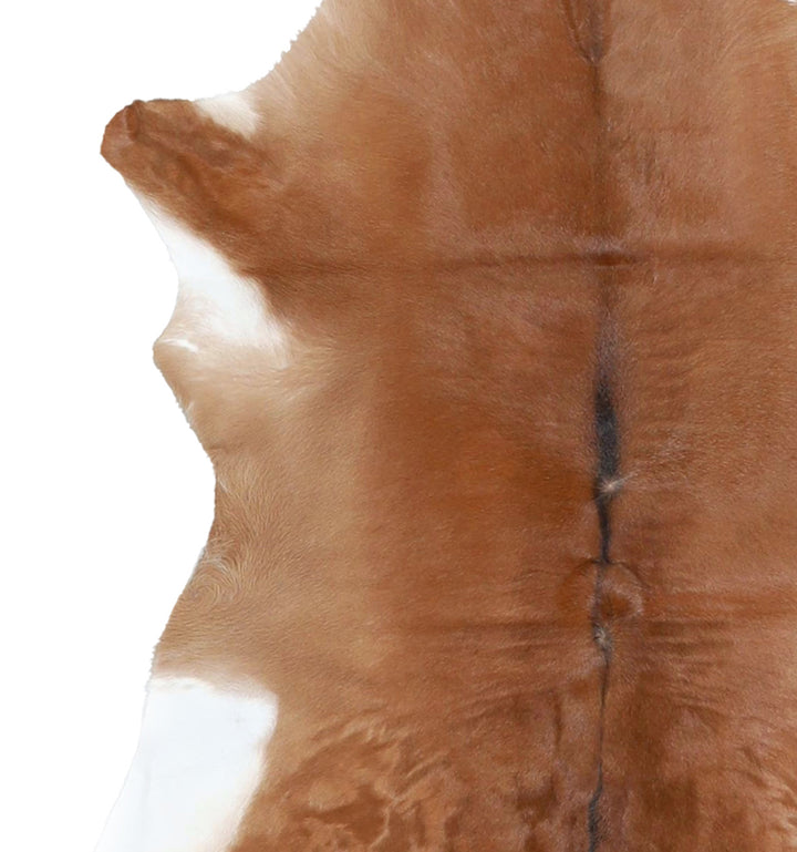 Calfhide Approx 2'x3' #A42505 by Hudson Hides