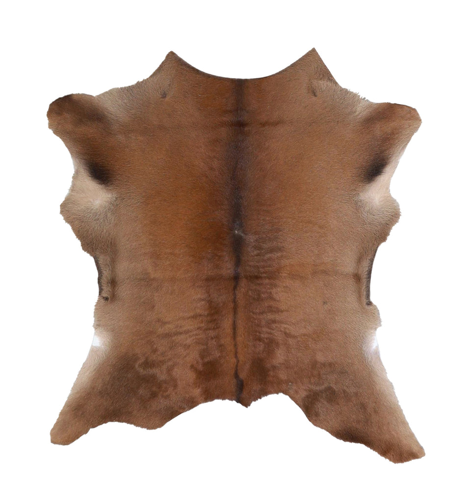 Calfhide Approx 2'x3' #A42506 by Hudson Hides