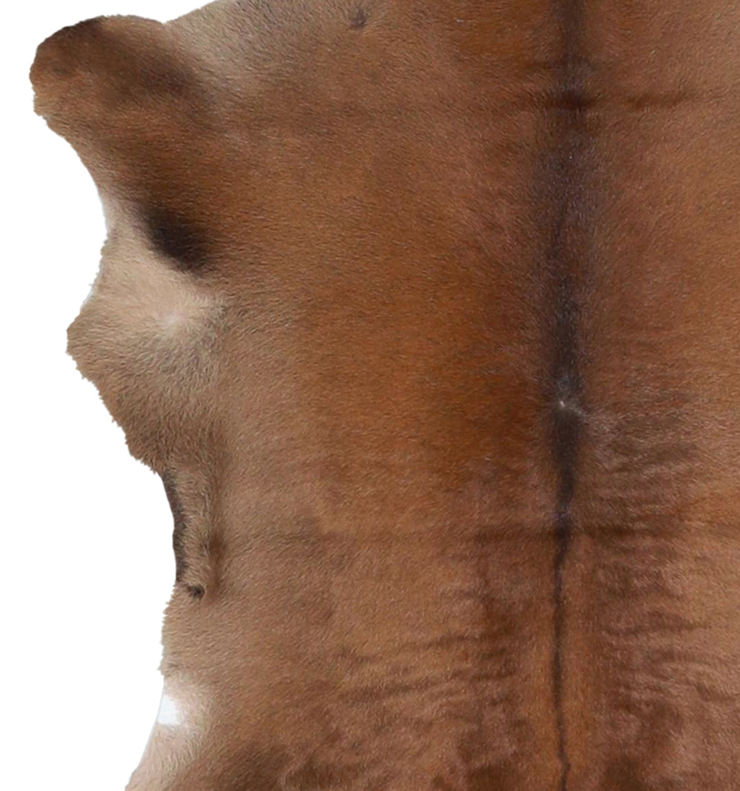 Calfhide Approx 2'x3' #A42506 by Hudson Hides