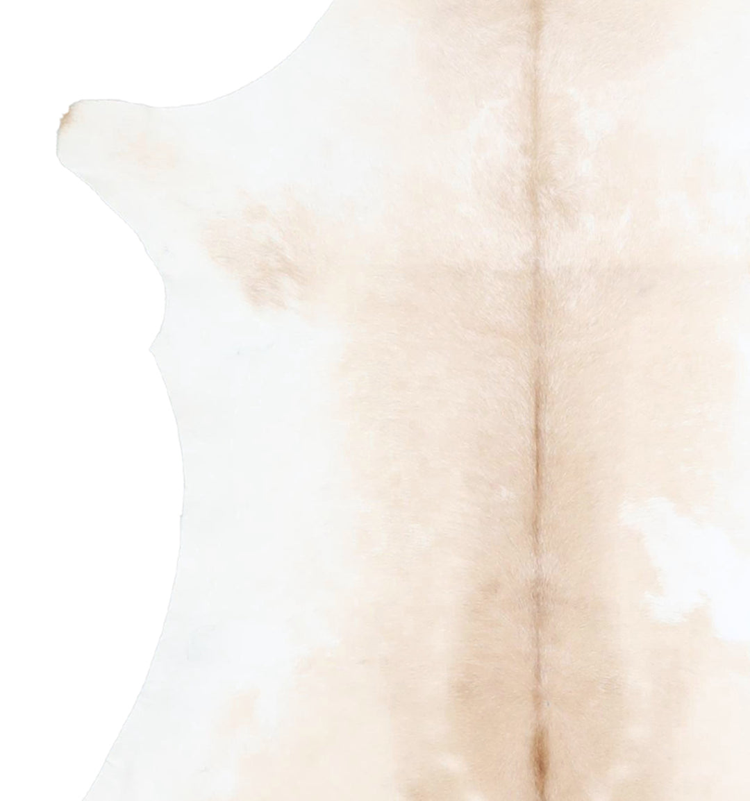 Calfhide Approx 2'x3' #A42509 by Hudson Hides