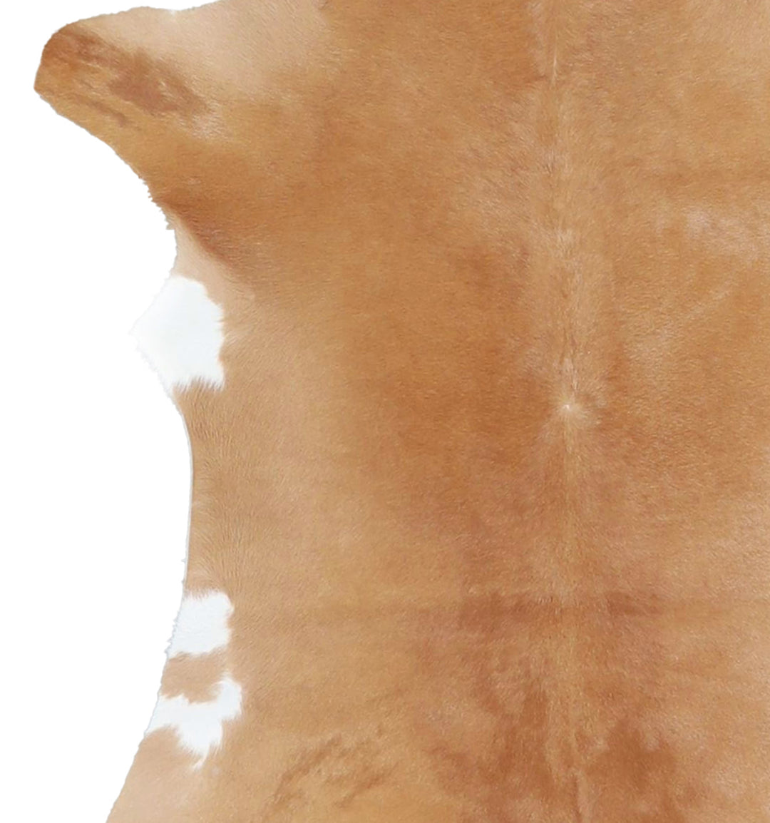 Calfhide Approx 2'x3' #A42510 by Hudson Hides