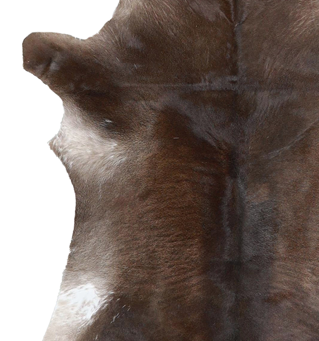 Calfhide Approx 2'x3' #A42512 by Hudson Hides