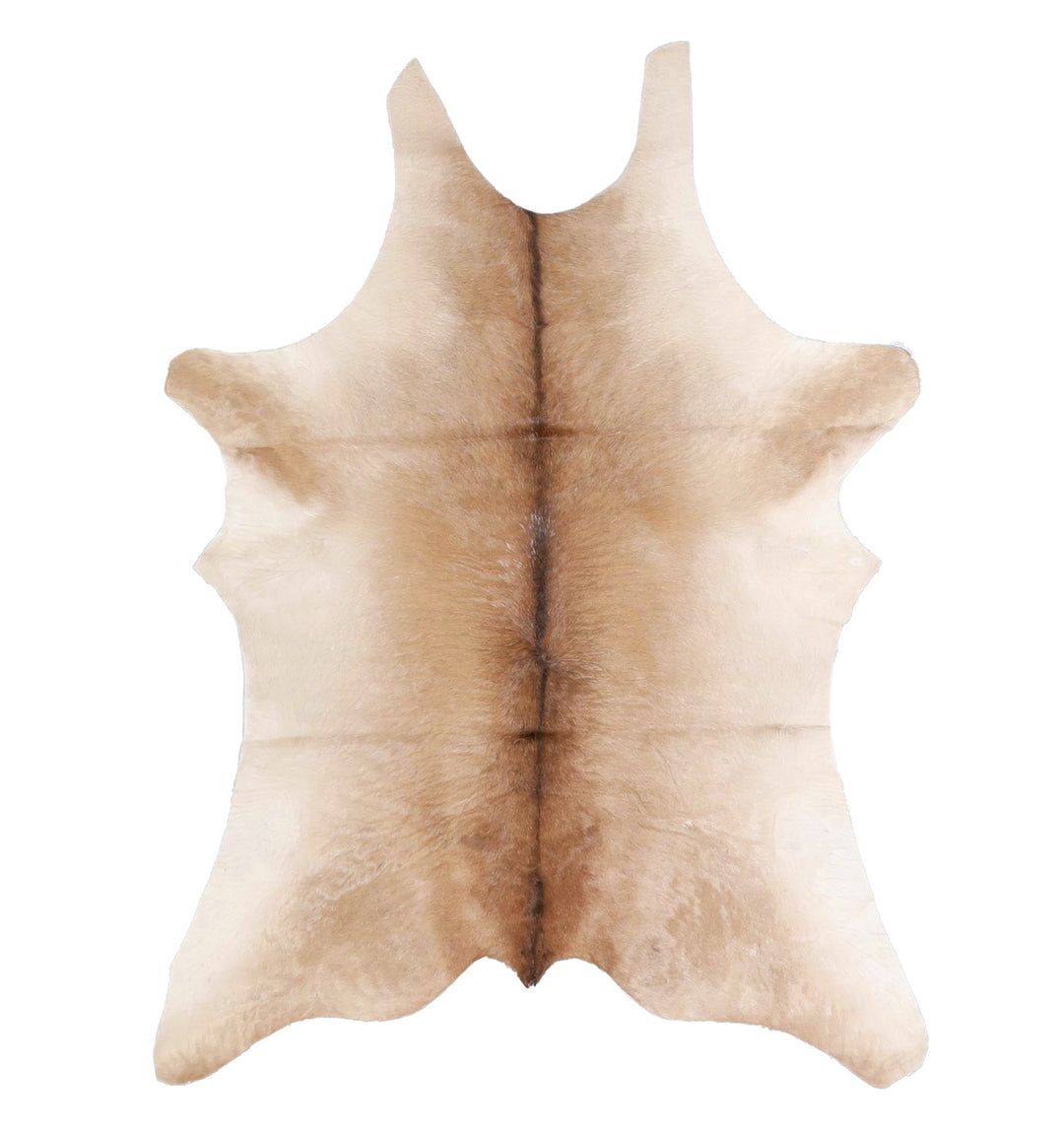 Calfhide Approx 2'x3' #A42513 by Hudson Hides