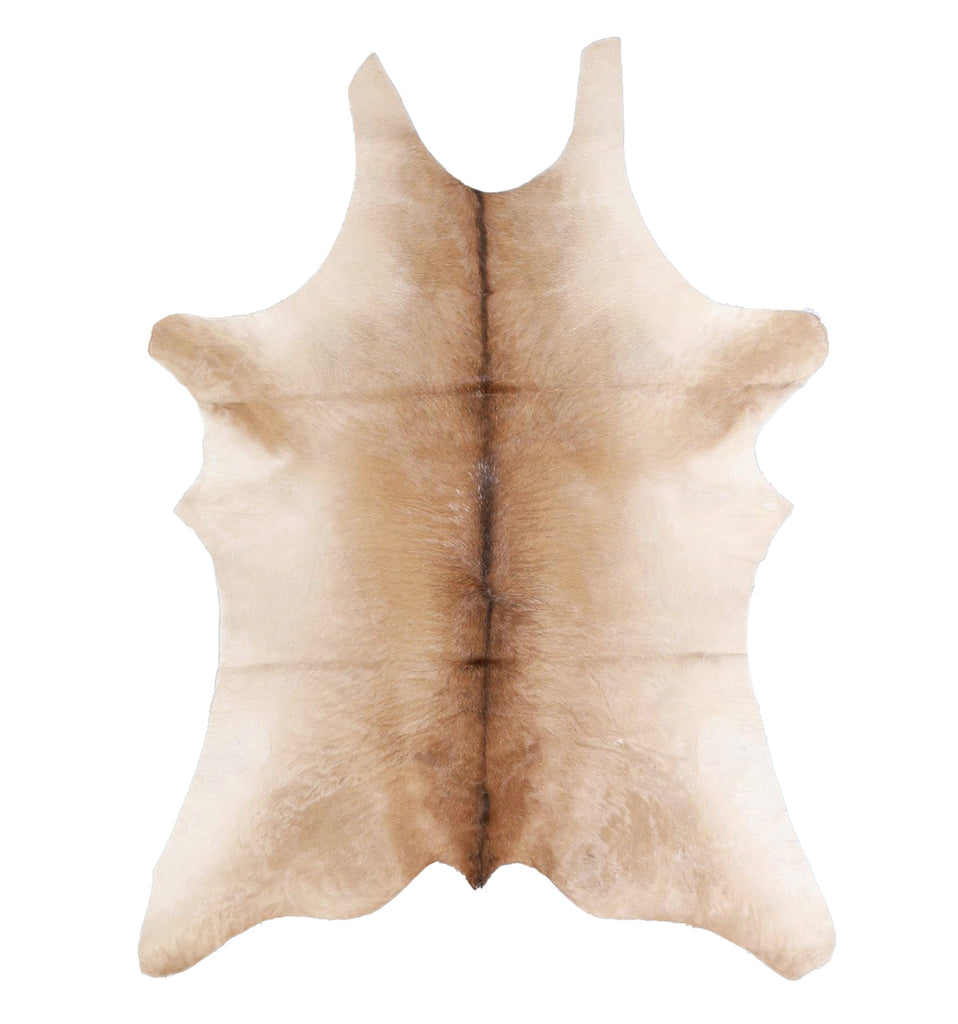 Calfhide Approx 2'x3' #A42513 by Hudson Hides