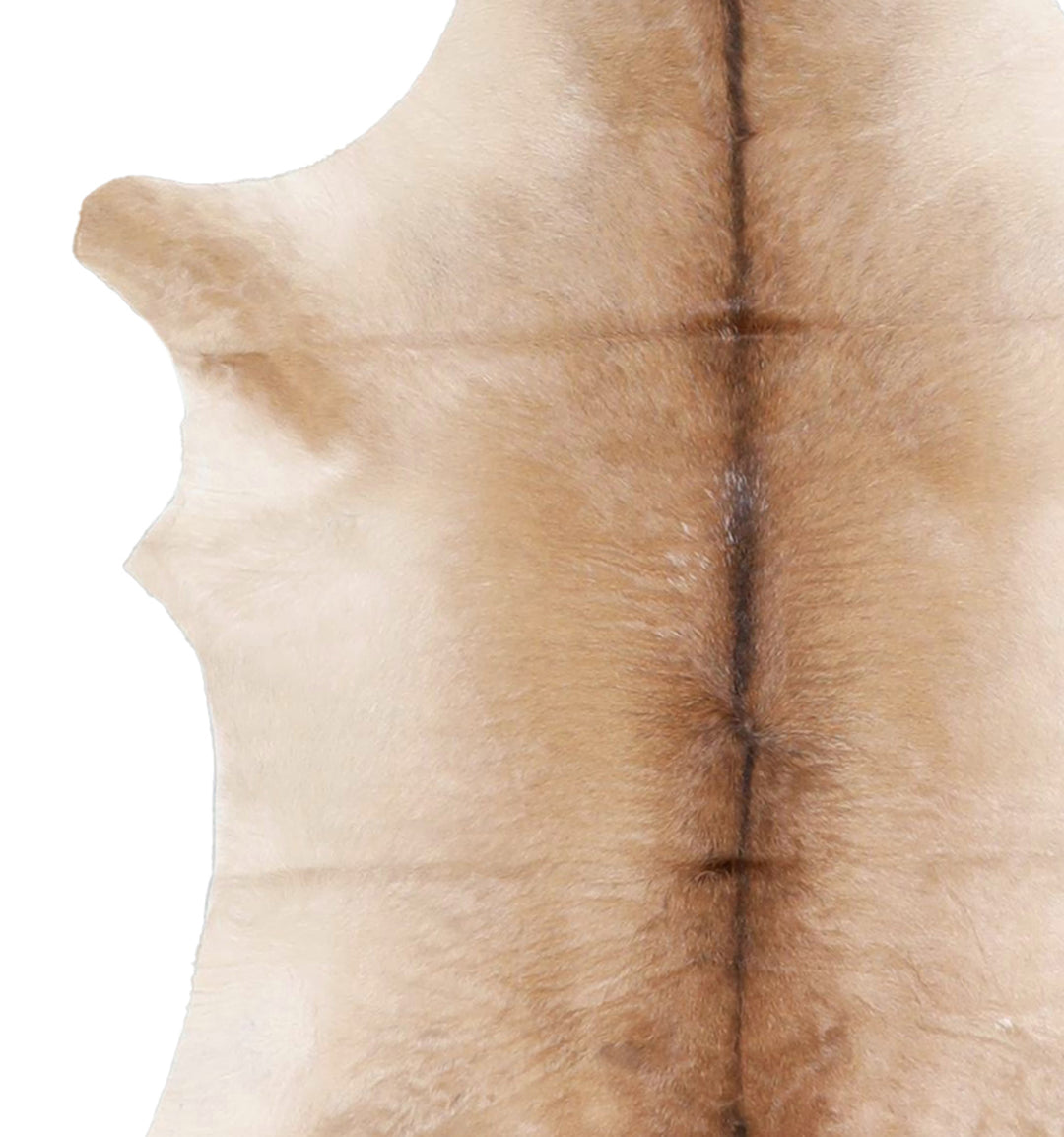 Calfhide Approx 2'x3' #A42513 by Hudson Hides