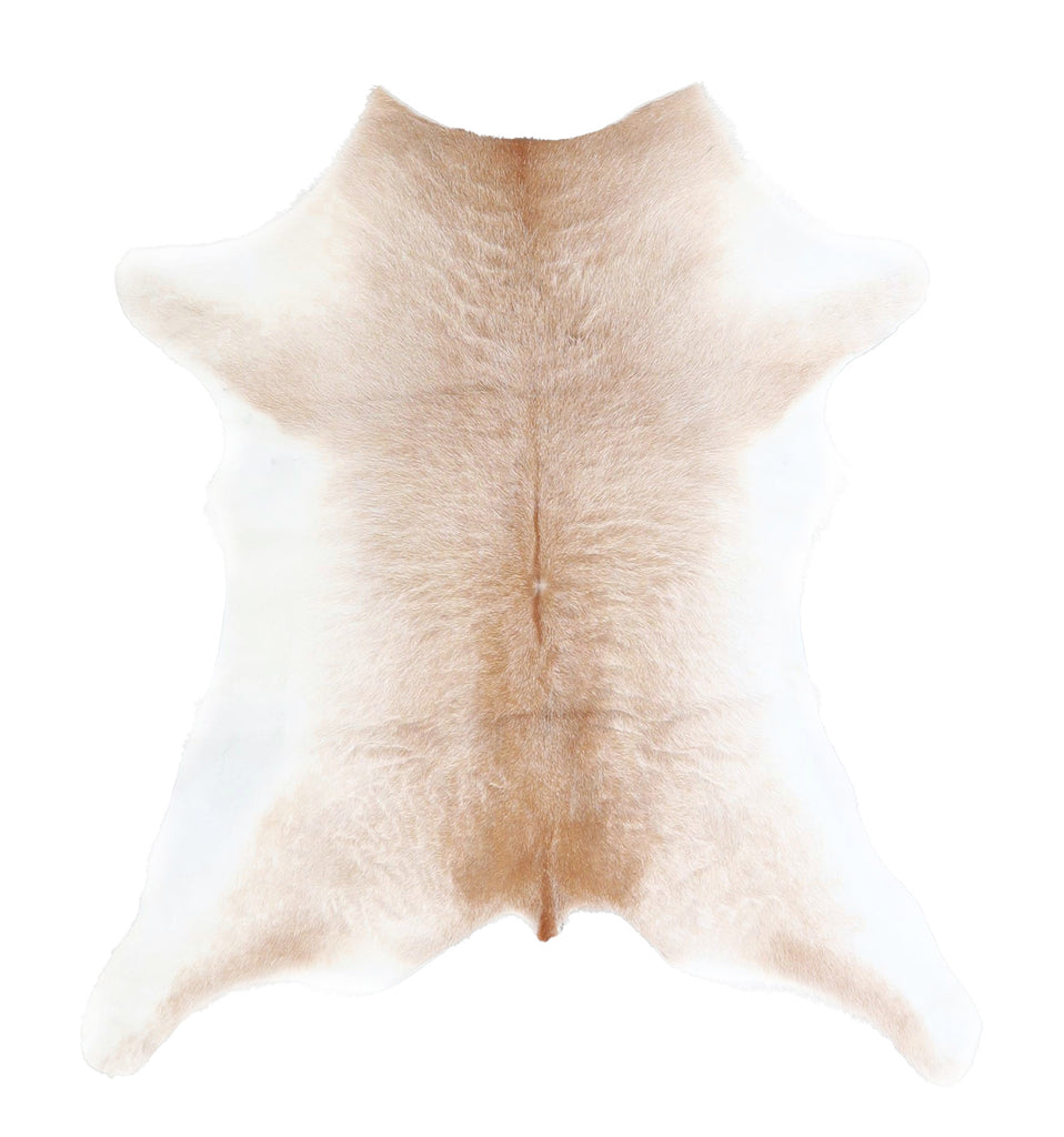 Calfhide Approx 2'x3' #A42516 by Hudson Hides