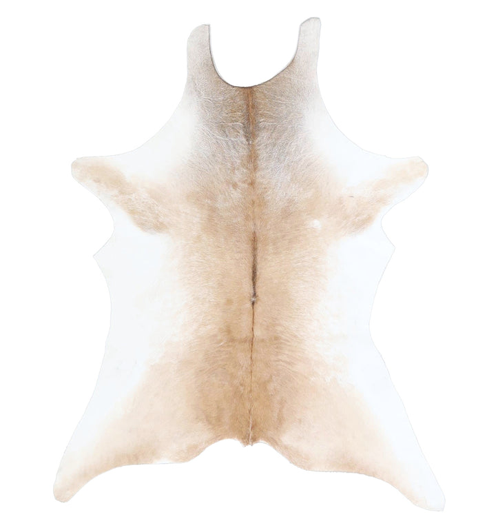 Calfhide Approx 2'x3' #A42518 by Hudson Hides