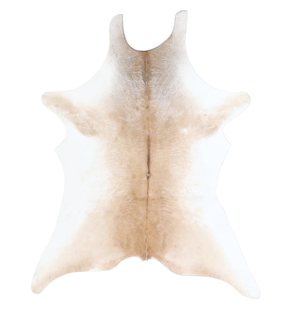 Calfhide Approx 2'x3' #A42518 by Hudson Hides