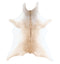 Calfhide Approx 2'x3' #A42518 by Hudson Hides