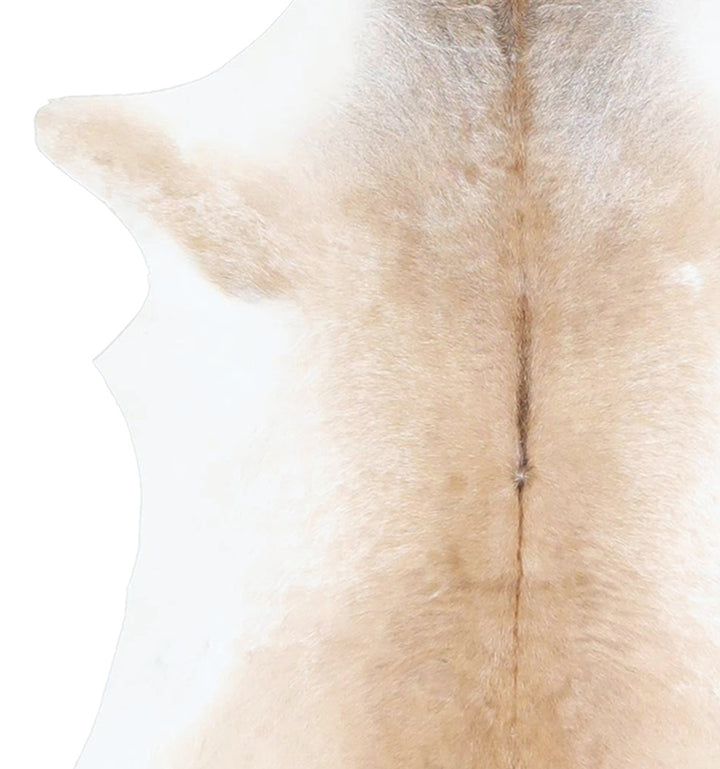 Calfhide Approx 2'x3' #A42518 by Hudson Hides