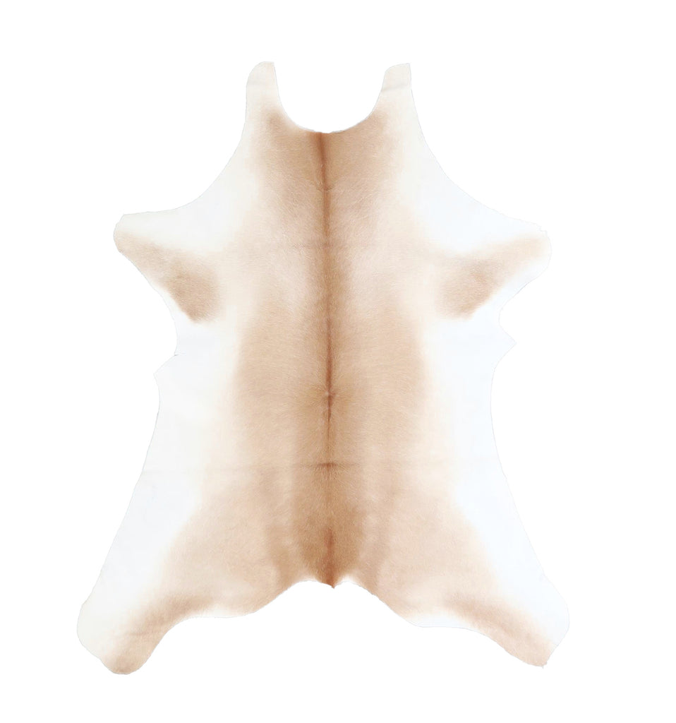 Calfhide Approx 2'x3' #A42520 by Hudson Hides