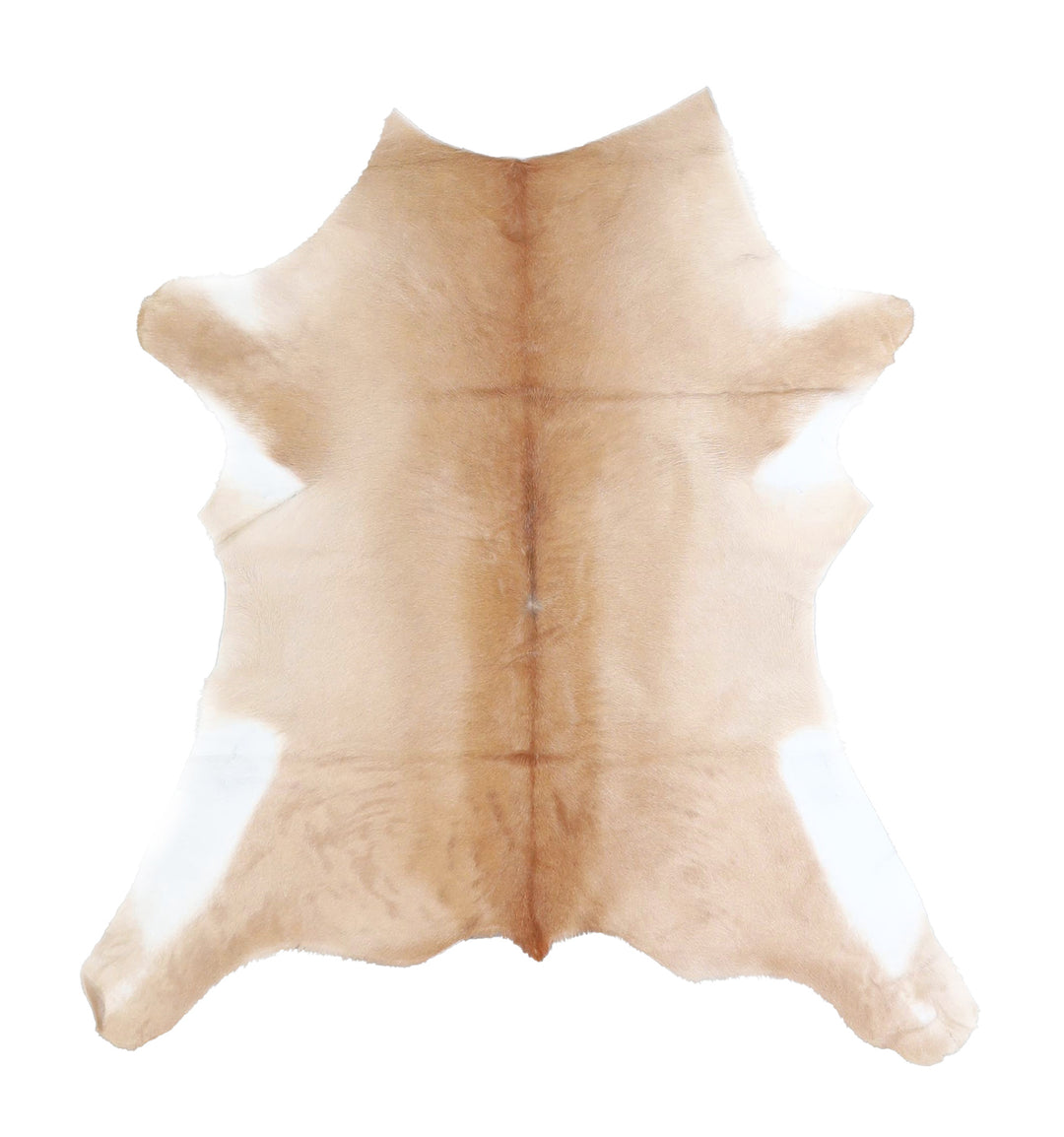 Calfhide Approx 2'x3' #A42522 by Hudson Hides