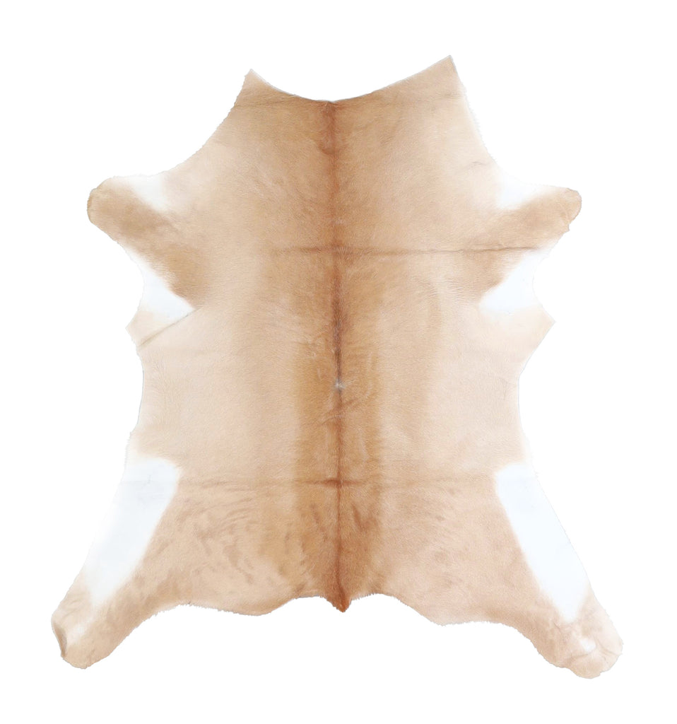 Calfhide Approx 2'x3' #A42522 by Hudson Hides