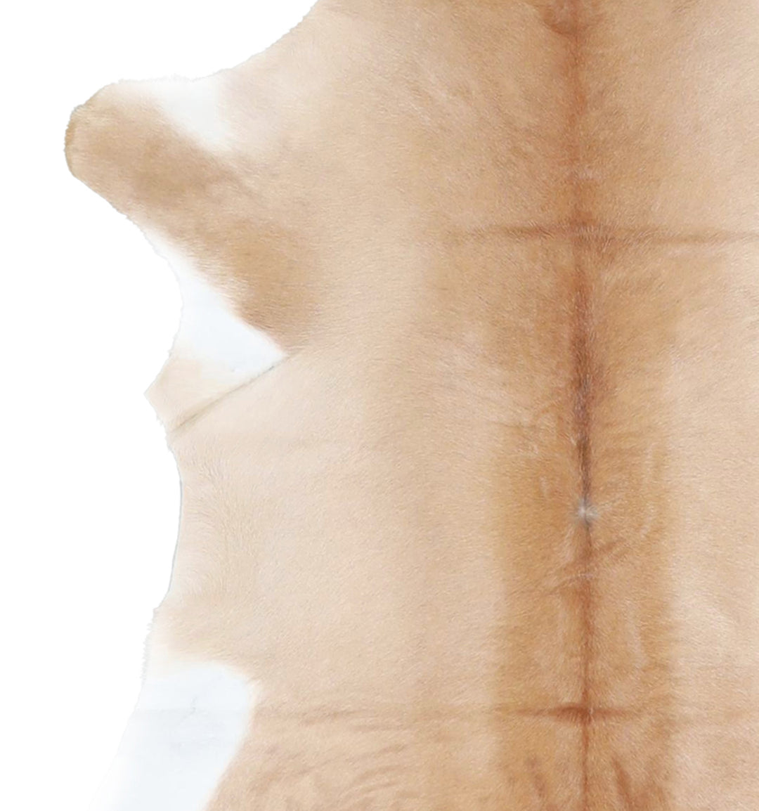 Calfhide Approx 2'x3' #A42522 by Hudson Hides