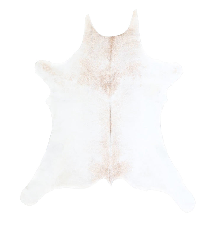 Calfhide Approx 2'x3' #A42526 by Hudson Hides