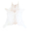 Calfhide Approx 2'x3' #A42526 by Hudson Hides