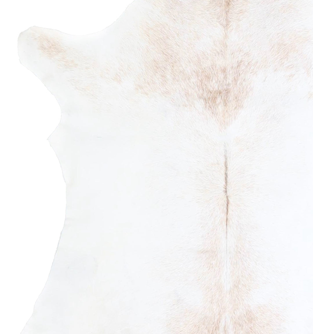 Calfhide Approx 2'x3' #A42526 by Hudson Hides