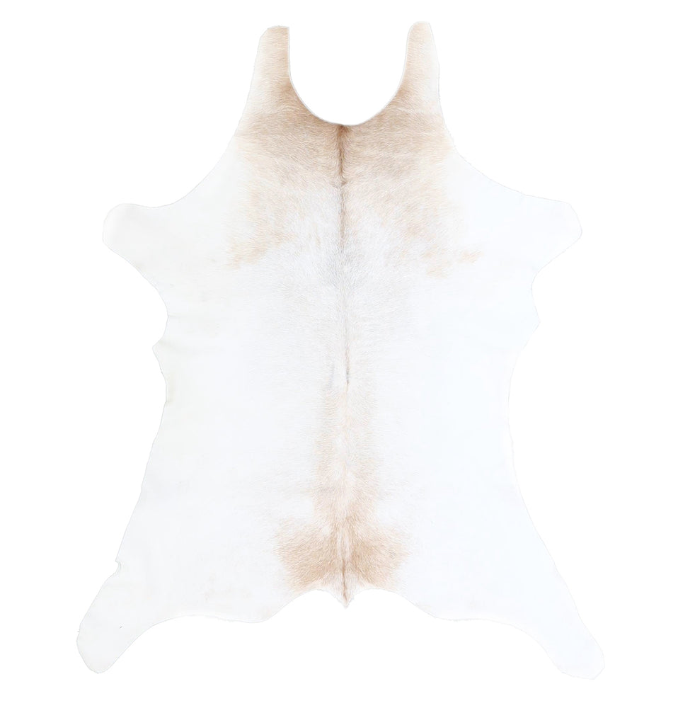 Calfhide Approx 2'x3' #A42530 by Hudson Hides