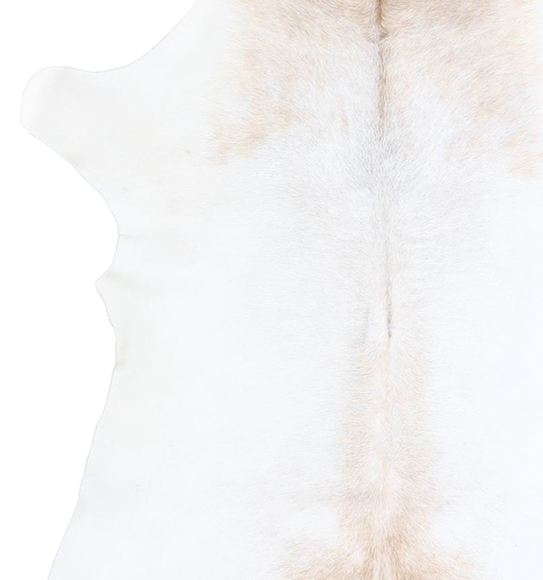 Calfhide Approx 2'x3' #A42530 by Hudson Hides