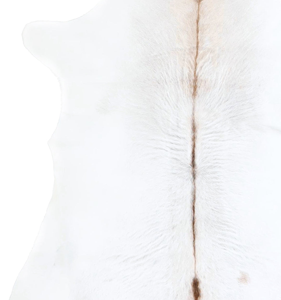 Calfhide Approx 2'x3' #A42532 by Hudson Hides