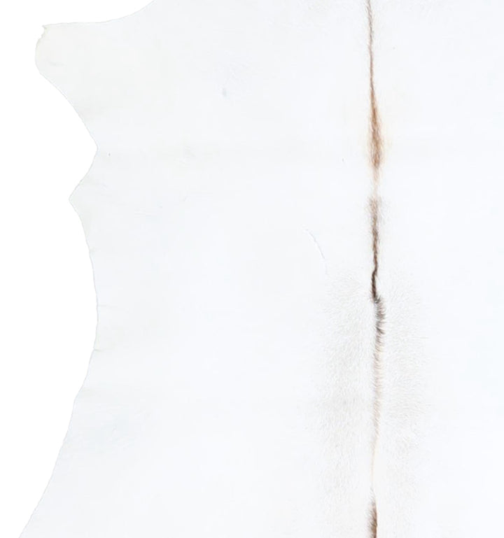 Calfhide Approx 2'x3' #A42535 by Hudson Hides