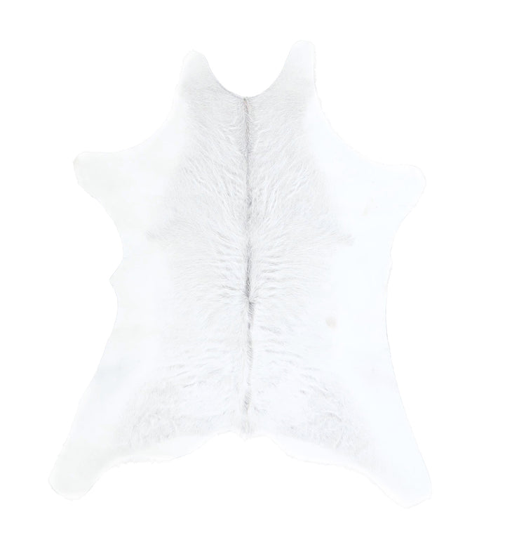 Calfhide Approx 2'x3' #A42539 by Hudson Hides