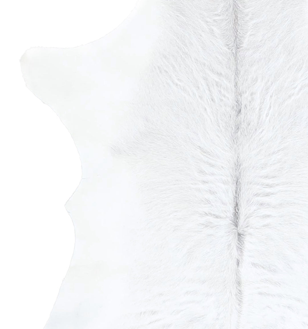 Calfhide Approx 2'x3' #A42539 by Hudson Hides