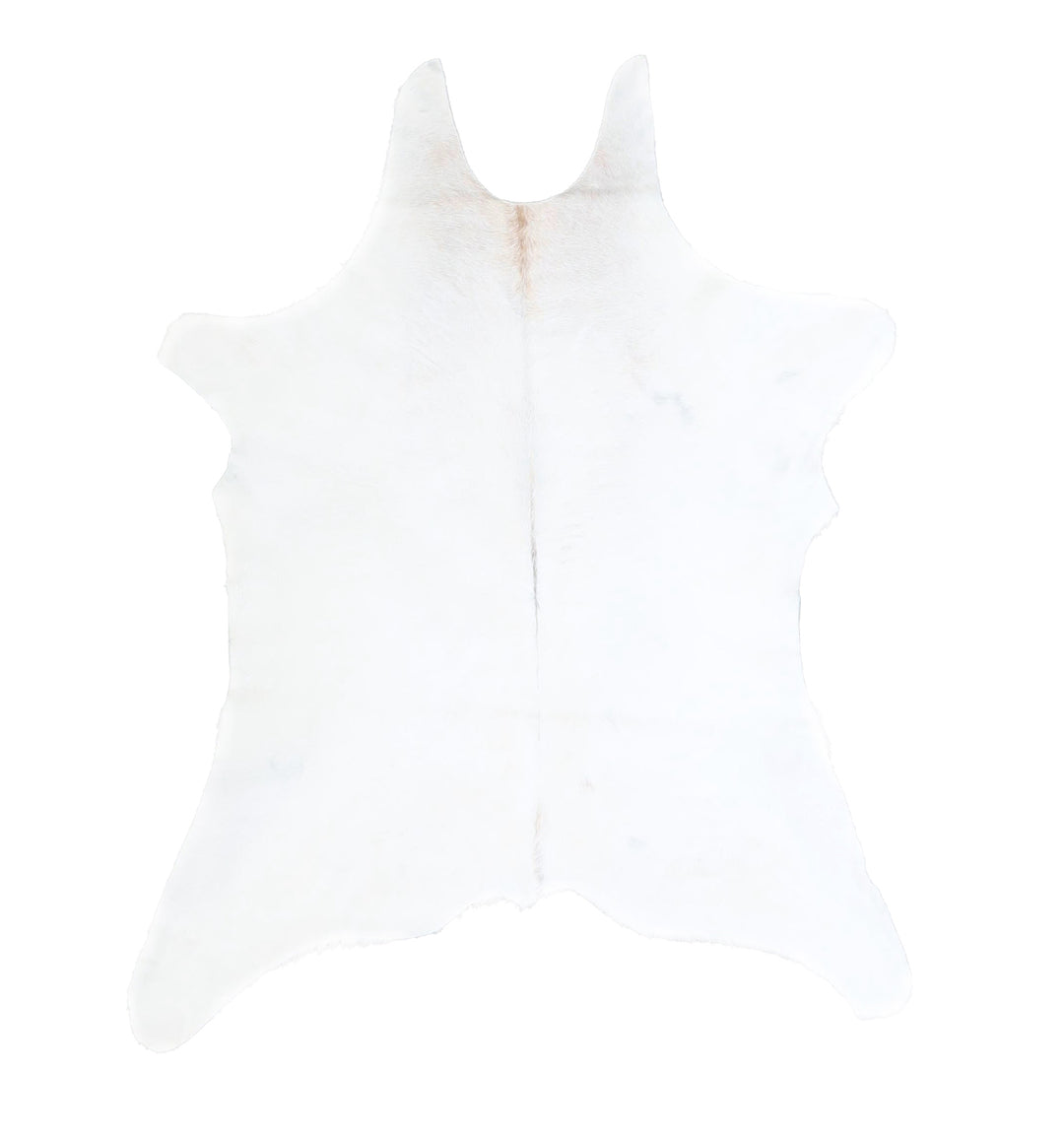 Calfhide Approx 2'x3' #A42541 by Hudson Hides