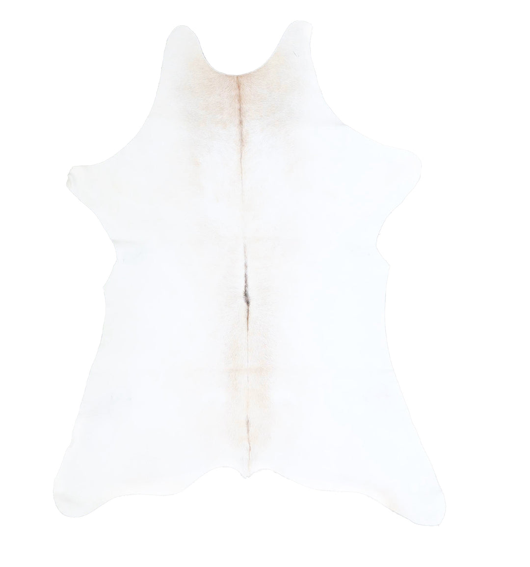 Calfhide Approx 2'x3' #A42544 by Hudson Hides