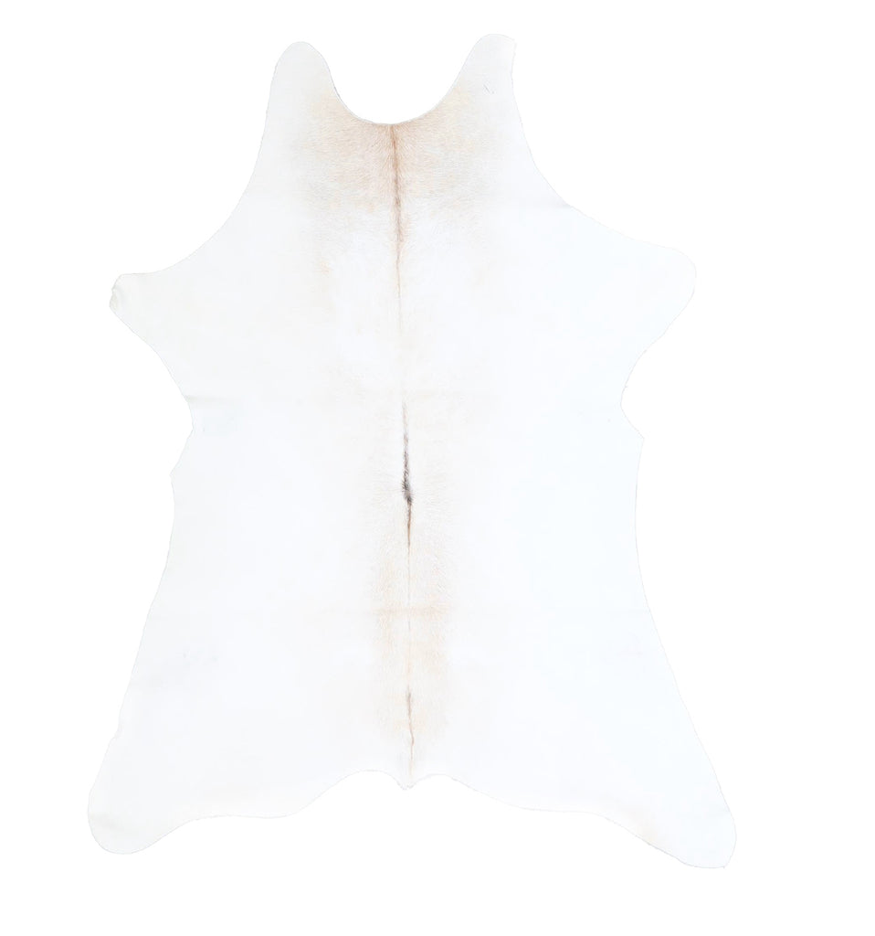 Calfhide Approx 2'x3' #A42544 by Hudson Hides