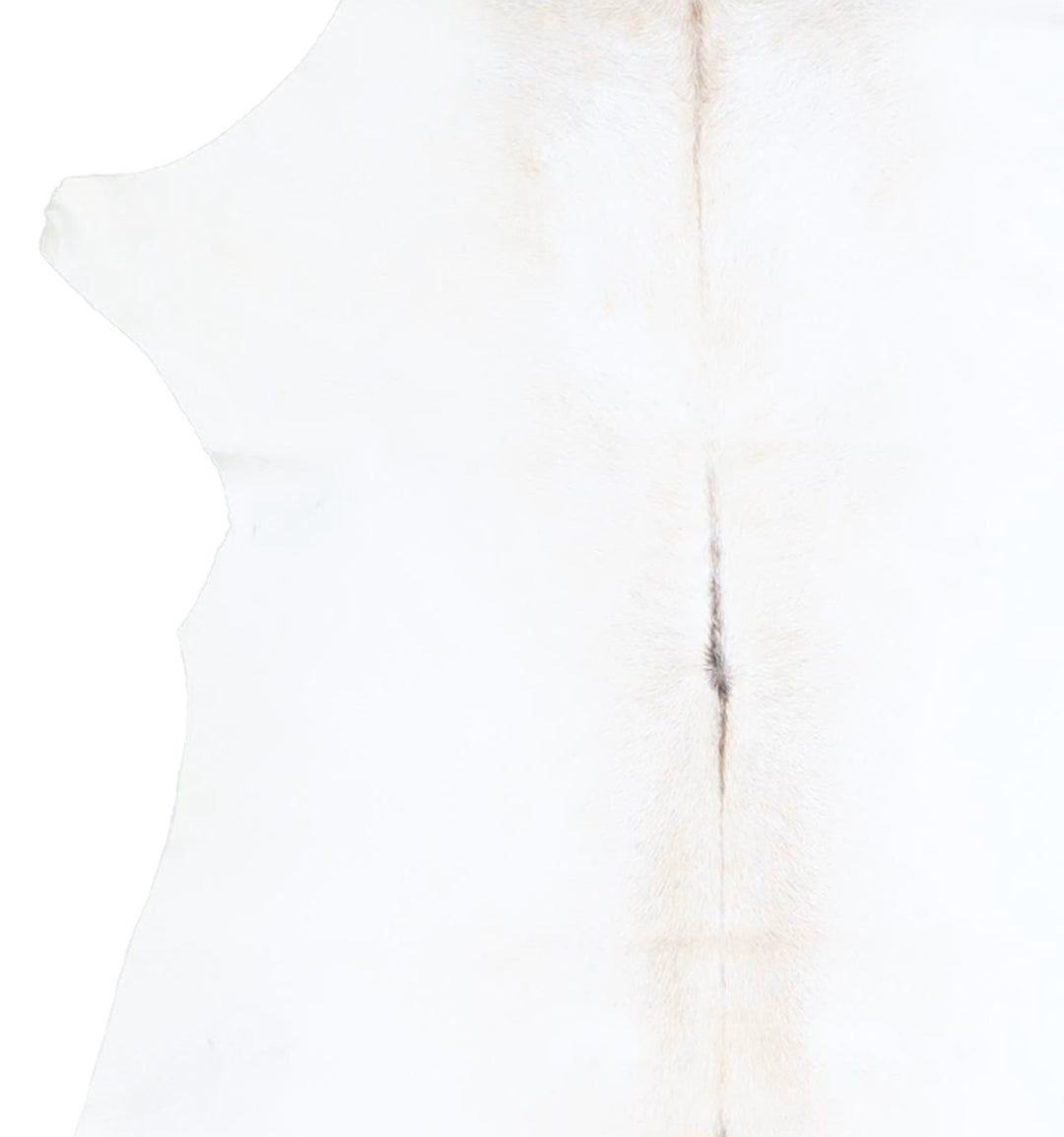 Calfhide Approx 2'x3' #A42544 by Hudson Hides