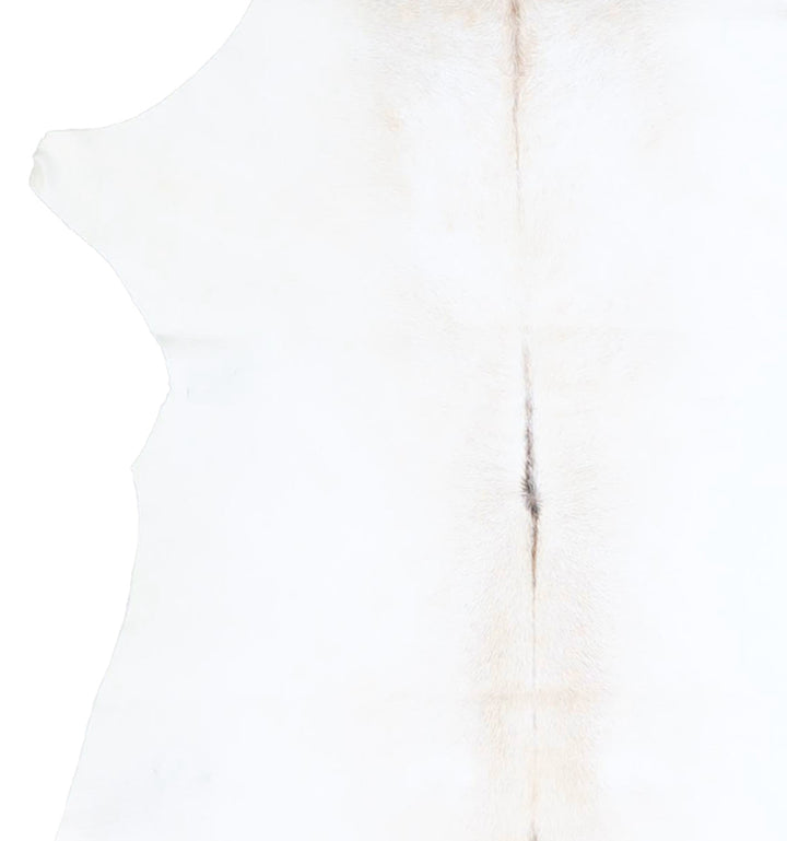 Calfhide Approx 2'x3' #A42544 by Hudson Hides