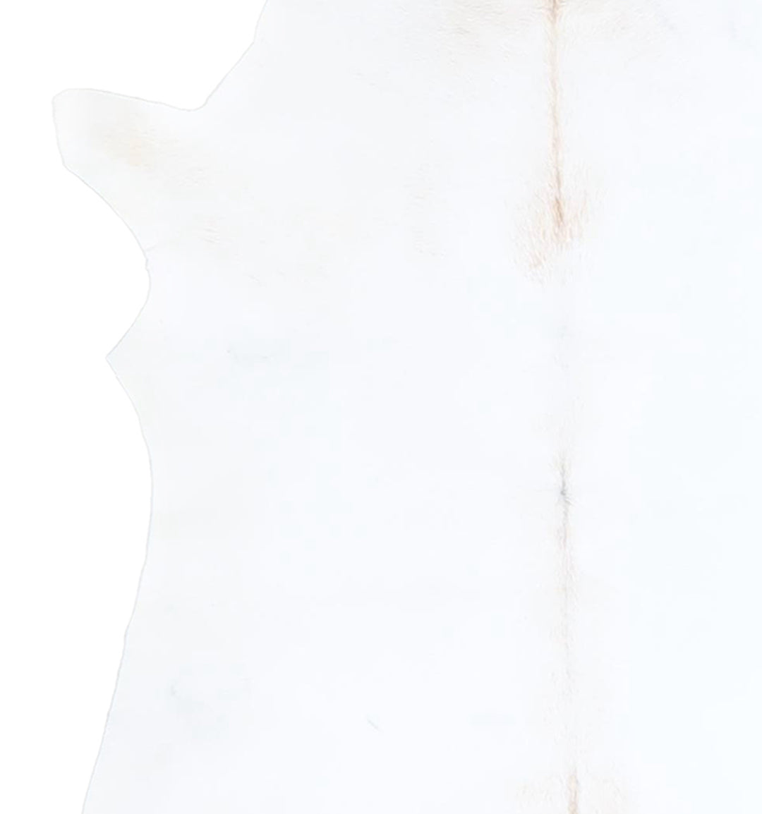 Calfhide Approx 2'x3' #A42547 by Hudson Hides
