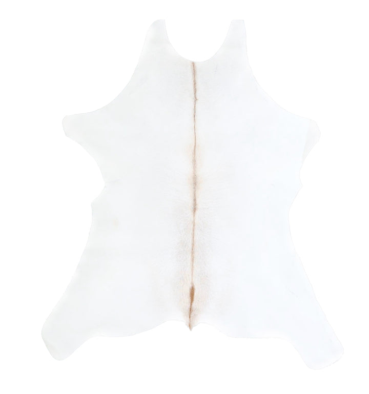 Calfhide Approx 2'x3' #A42550 by Hudson Hides
