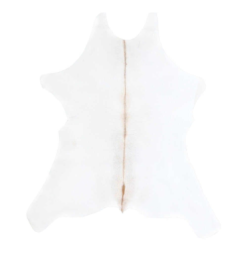 Calfhide Approx 2'x3' #A42550 by Hudson Hides