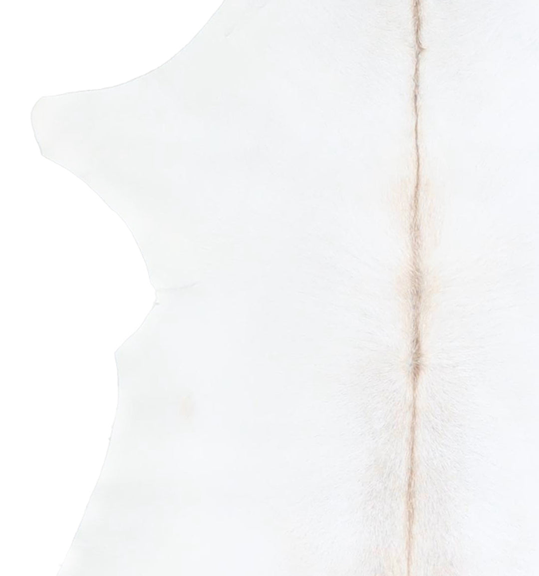 Calfhide Approx 2'x3' #A42550 by Hudson Hides