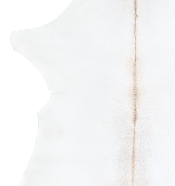Calfhide Approx 2'x3' #A42550 by Hudson Hides