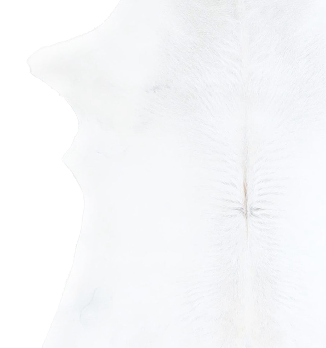 Calfhide Approx 2'x3' #A42551 by Hudson Hides