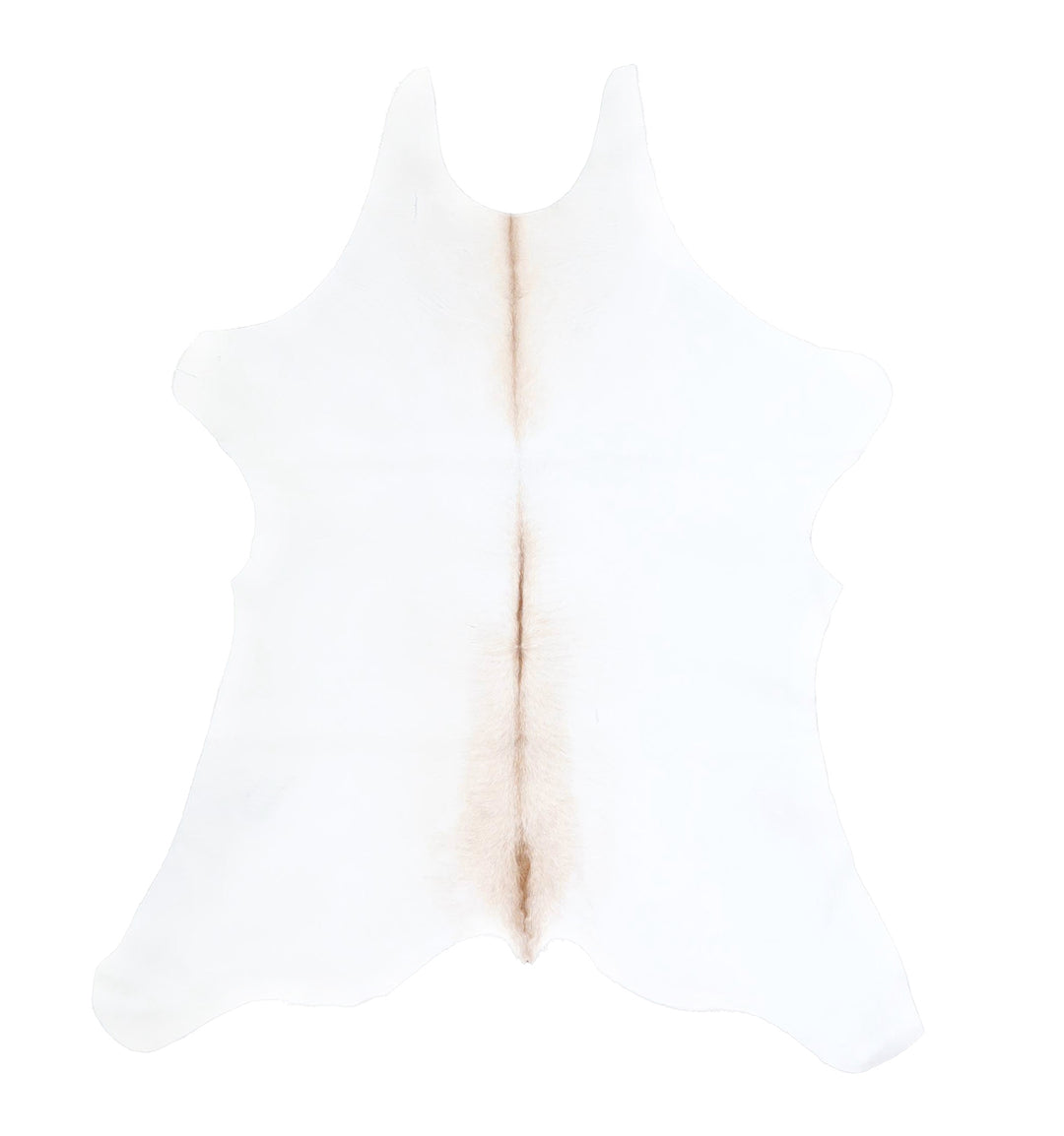 Calfhide Approx 2'x3' #A42553 by Hudson Hides